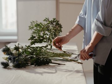 香港公司注冊資本的最新規(guī)定有哪些？