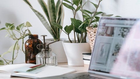 土耳其授權(quán)代表是什么？了解土耳其市場(chǎng)合規(guī)要求