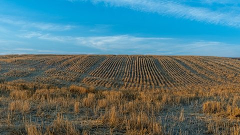 速賣(mài)通常用的跨境物流方法有那些